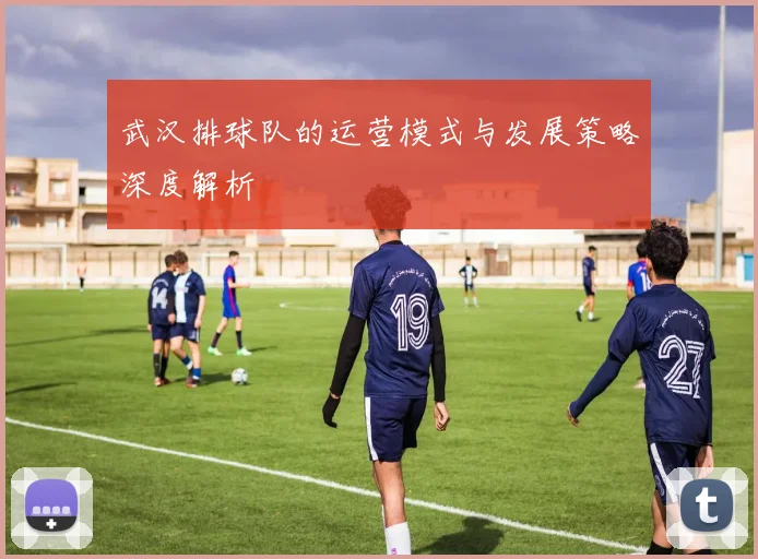 武汉排球队的运营模式与发展策略深度解析