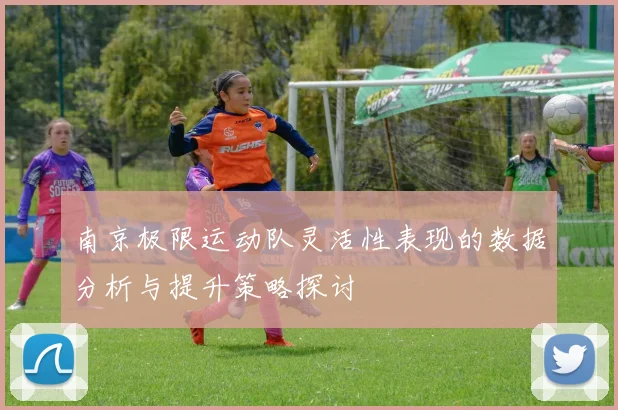 南京极限运动队灵活性表现的数据分析与提升策略探讨