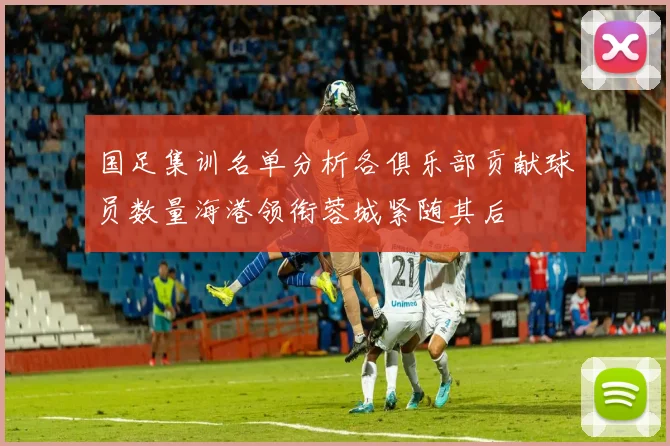 国足集训名单分析各俱乐部贡献球员数量海港领衔蓉城紧随其后