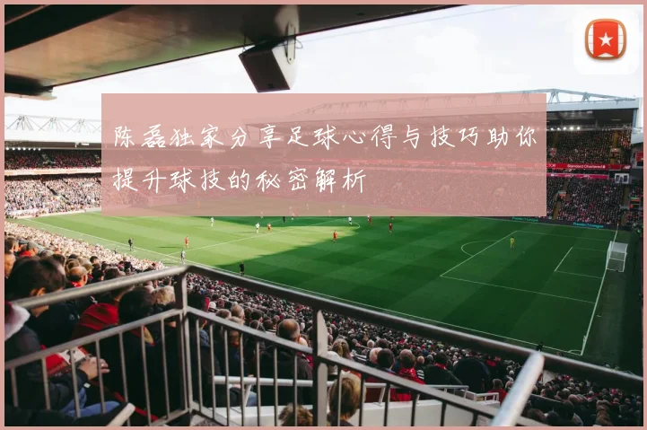 陈磊独家分享足球心得与技巧助你提升球技的秘密解析