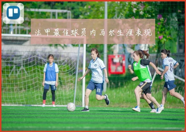法甲最佳球员内马尔生涯表现