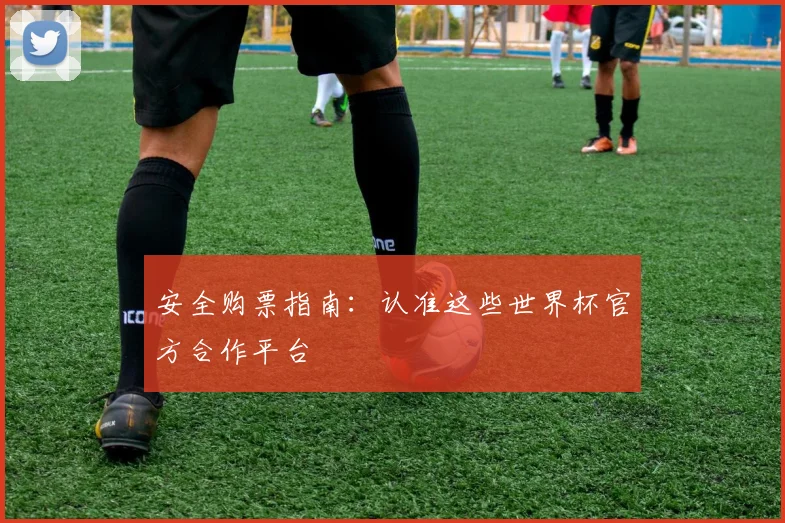 安全购票指南：认准这些世界杯官方合作平台